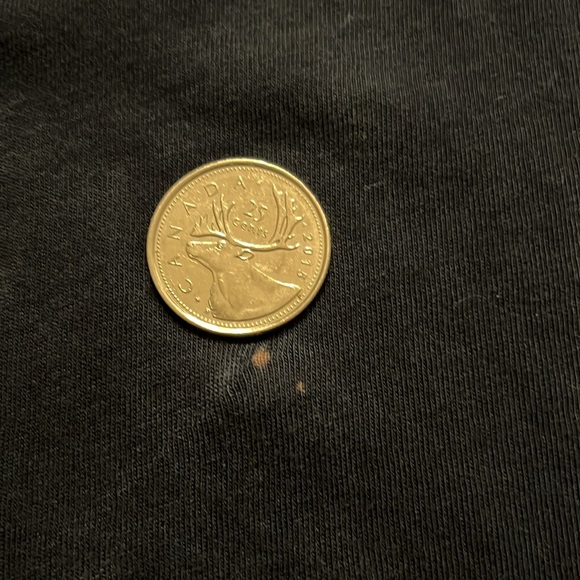 Genuine Harley Davidson 1903 tshirt 100% cotton womans large. See details/photos - Picture 6 of 7